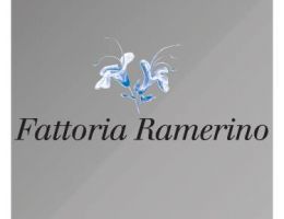 Immagine 3 di OLIO EXTRAVERGINE DI OLIVA CULTIVAR MORAIOLO ALTA QUALITA'