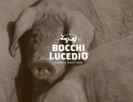 Immagine 2 di CICCIOLATA SALUMI BOCCHI