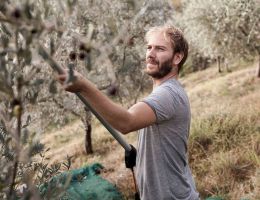 Immagine 1 di OLIO EXTRAVERGINE DI OLIVA I.G.P. TOSCANO QUALITA' SUPERIORE