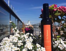 Immagine 1 di OLIO EXTRAVERGINE DI OLIVA MONOVARIETALE  GARDA D.O.P. DRIZZAR