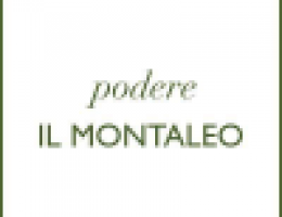 Immagine 2 di OLIO EXTRAVERGINE DI OLIVA CULTIVAR LAZZERO ALTA QUALITA'