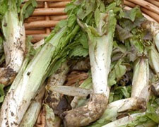 Immagine 1 di Radìc di mont