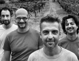 Immagine 1 di LEVATO DI GRONDA I.G.T. BIANCO TOSCANA