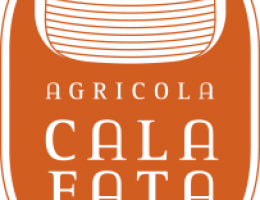 Immagine 4 di LEVATO DI GRONDA I.G.T. BIANCO TOSCANA