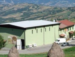 Immagine 3 di PARMIGIANO REGGIANO D.O.P. 30 MESI PRODOTTO DI MONTAGNA CASEIFICIO DISMANO