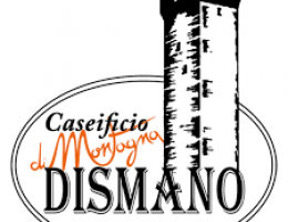 Immagine 5 di PARMIGIANO REGGIANO D.O.P. 30 MESI PRODOTTO DI MONTAGNA CASEIFICIO DISMANO