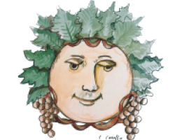 Immagine 2 di MONFERRATO ROSSO D.O.C.BRICCO SAN CARLO FONTANASSA VINI