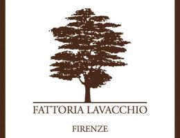 Immagine 2 di OLIO EXTRAVERGINE DI OLIVA BIO QUALITA' SUPERIORE