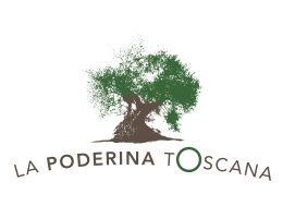 Immagine 2 di OLIO EXTRAVERGINE DI OLIVA D.O.P.  BIO CULTIVAR OLIVASTRA SEGGIANESE