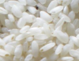 Immagine 2 di Riso Sant'Andrea D.O.P. della  Baraggia