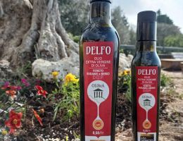 Immagine 1 di OLIO EXTRAVERGINE D'OLIVA VENETO D.O.P. DELFO ALTA QUALITA' AGRI DA SAGRARO