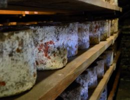 Immagine 2 di CASTELMAGNO D.O.P. D'ALPEGGIO CASEIFICIO DES MARTIN