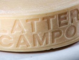 Immagine 3 di FORMAGGIO DI TURNARIA