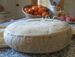 Immagine 1 di FORMAGGIO DI TURNARIA