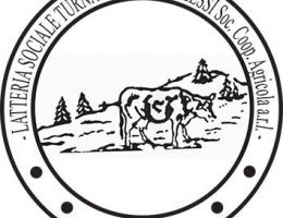 Immagine 2 di FORMAGGIO DI TURNARIA