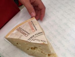 Immagine 5 di FORMAGGIO DI TURNARIA