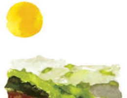 Immagine 3 di ROERO D.O.C.G. RISERVA FILIPPO GALLINO VINI ROERO