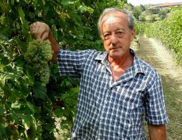 Immagine 3 di ROERO ARNEIS D.O.C.G.