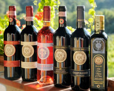 Immagine 1 di CHIANTI CLASSICO D.O.C.G. RISERVA CEPPETO