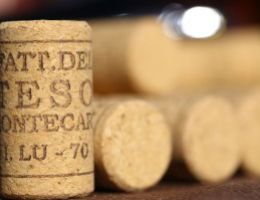 Immagine 4 di MONTECARLO VINSANTO D.O.C.