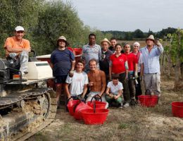 Immagine 1 di SYRAH TOSCANA I.G.T. LA MALENA