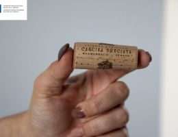 Immagine 5 di BARBARESCO RIO SORDO RISERVA D.O.C.G.BIO CASCINA BRUCIATA