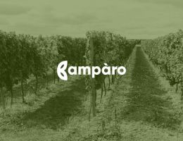 Immagine 2 di DIANO D' ALBA D.O.C. CAMPARO VINI
