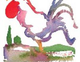 Immagine 1 di PUGNIROSSO I.G.T. ROSSO TOSCANA