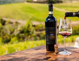 Immagine 5 di CARMIGNANO D.O.C.G. RISERVA VIGNA GRUMARELLO