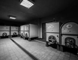 Immagine 3 di BAROLO ARBORINA D.O.C.G. BOVIO GIANFRANCO VINI