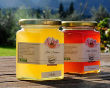 Immagine 1 di Miele Senese