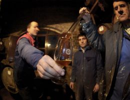 Immagine 1 di GRECHETTO VALDICHIANA TOSCANA D.O.C.