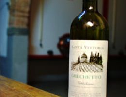 Immagine 2 di GRECHETTO VALDICHIANA TOSCANA D.O.C.