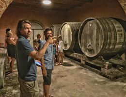 Immagine 3 di GRECHETTO VALDICHIANA TOSCANA D.O.C.