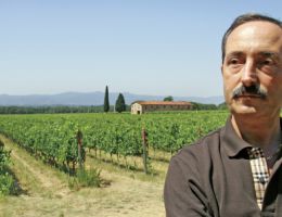 Immagine 1 di MERLOT ROSSO TOSCANA I.G.T. VIGNETO CULUMELLA