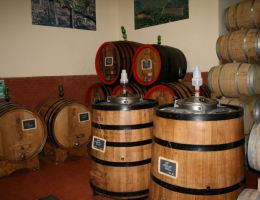 Immagine 3 di MERLOT ROSSO TOSCANA I.G.T. VIGNETO CULUMELLA