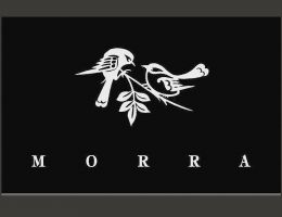 Immagine 2 di LANGHE FAVORITA D.O.C. MORRA STEFANINO