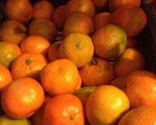 Immagine 1 di Clementina di Calabria I.G.P.