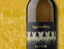 Immagine 2 di GAVI DI GAVI D.O.C.G. RISERVA ALTUS LA GHIBELLINA