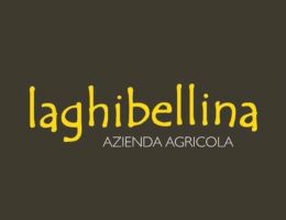 Immagine 1 di GAVI DI GAVI D.O.C.G. RISERVA ALTUS LA GHIBELLINA