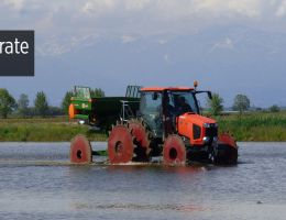 Immagine 2 di RISO  SUPERFINO CARNAROLI