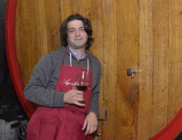 Immagine 1 di BARBERA D'ASTI D.O.C.G. SUPERIORE MOLISS