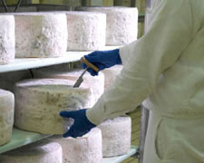 Immagine 2 di GORGONZOLA DOLCE D.O.P.FORMAGGI ARRIGONI BATTISTA