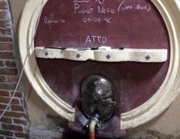 Immagine 2 di MONFERRATO PINOT NERO D.O.C. FANDAMAT CASALONE VITICOLTORI