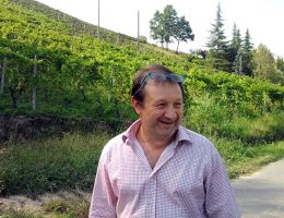 Immagine 1 di BARBERA D'ASTI SUPERIORE D.O.C.G. LA BIGIA LUIGI SPERTINO