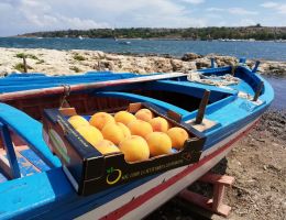 Immagine 4 di PESCA DI LEONFORTE I.G.P.