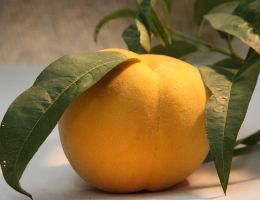 Immagine 1 di PESCA DI LEONFORTE I.G.P.