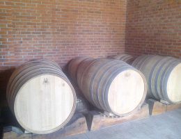 Immagine 3 di BOCA D.O.C. VIGNA CRISTINA VALLONI VINI