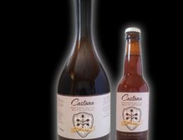 Immagine 1 di CASTANA STILE SAISON AL MIELE DI CASTAGNO BIRRIFICIO OLTREPO'