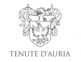 Immagine 4 di AGLIANICO DEL VULTURE D.O.C. RUPE DI APOLLO